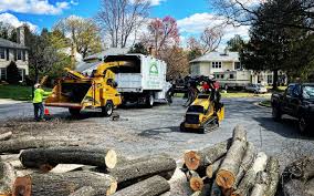 Best Tree Disease Treatment  in Mcgovern, PA