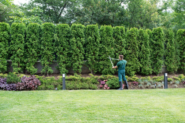 Best Lawn Mowing Services  in Mcgovern, PA